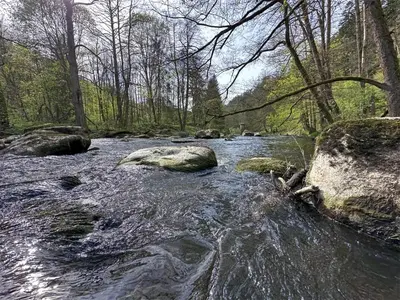 Naturlandschaft in der Nähe des Ferienhauses