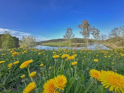 Naturlandschaft in der Nähe des Ferienhauses
