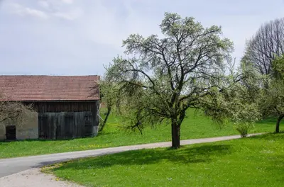 Naturlandschaft in der Nähe des Bauernhofs