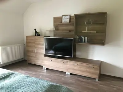 TV/Unterhaltungsangebot in der Unterkunft Apartment am See