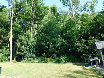 Ein Garten an der Unterkunft Apartment in Blankenstein 3167
