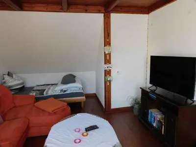 TV/Unterhaltungsangebot in der Unterkunft Apartment in Blankenstein 3167