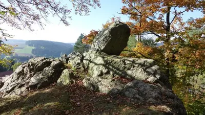 Naturlandschaft in der Nähe der Ferienwohnung