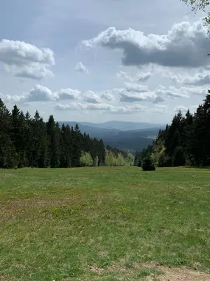 Naturlandschaft in der Nähe der Ferienwohnung