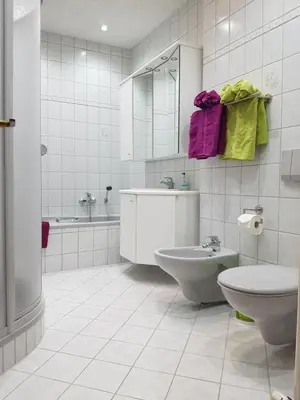 Ein Badezimmer in der Unterkunft Gemütliche Ferienwohnung im schönen Erzgebirge - Wohnung Frühling
