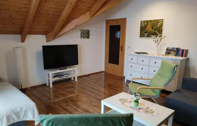 TV/Unterhaltungsangebot in der Unterkunft Gemütliche Ferienwohnung im schönen Erzgebirge - Wohnung Frühling