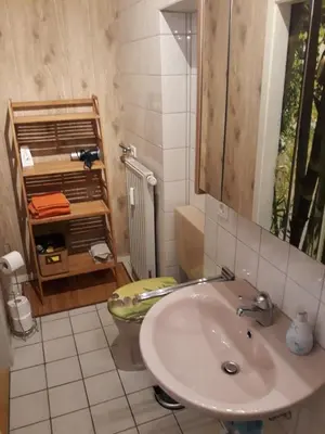 Ein Badezimmer in der Unterkunft Allsaitig Klang- und Seminarzentrum Selb