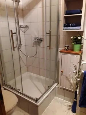 Ein Badezimmer in der Unterkunft Apartment am Buchenhain