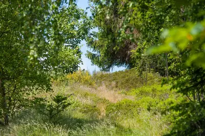 Naturlandschaft in der Nähe des Gasthauses