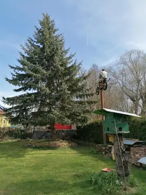 Ein Garten an der Unterkunft Ferienwohnung Fleischer