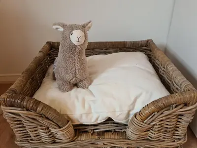 Ein Bett oder Betten in einem Zimmer der Unterkunft Waldstein Gipfelstürmer