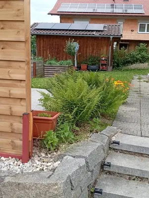 Ein Garten an der Unterkunft Ferienwohnung Rackl