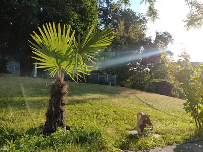 Ein Garten an der Unterkunft Aloha Annaberg