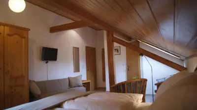 TV/Unterhaltungsangebot in der Unterkunft Gasthof zur Burgruine