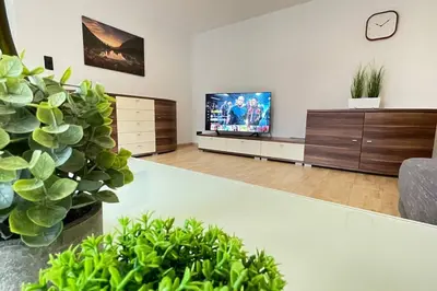 TV/Unterhaltungsangebot in der Unterkunft Shine Apartment Schwarzenfeld