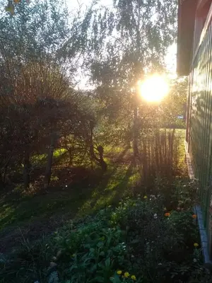 Ein Garten an der Unterkunft Entspannung im Zirkuswagen: außergewöhnliche und liebevoll eingerichtete Glamping-Unterkunft im Grünen