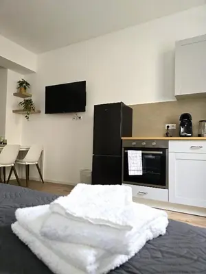Küche/Küchenzeile in der Unterkunft Apartments Schwandorf