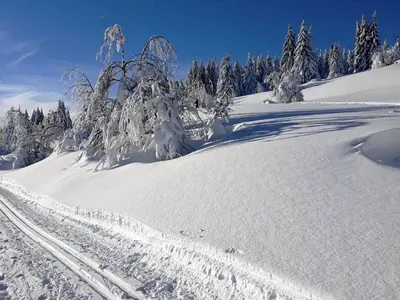 FeWo Lotti - 5 Personen, ruhige Lage, WLAN im Winter