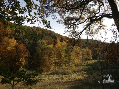 Naturlandschaft in der Nähe der Ferienwohnung