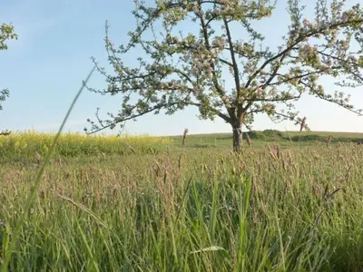 Naturlandschaft in der Nähe des Ferienhauses