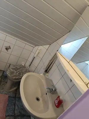 Ein Badezimmer in der Unterkunft Schmuckstück im Fichtelgebirge