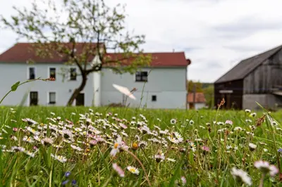 Ein Garten an der Unterkunft Familienapartment Vogtland