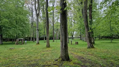 Ein Garten an der Unterkunft Villa Andreas