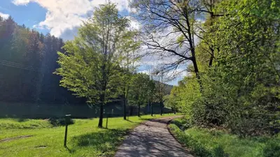 Naturlandschaft in der Nähe der Ferienwohnung