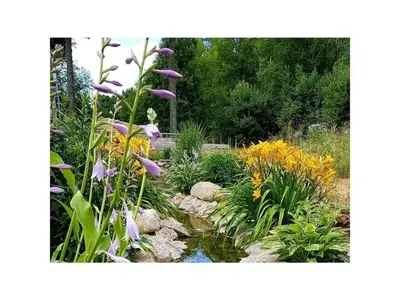 Ein Garten an der Unterkunft Kattl Comfortable holiday residence