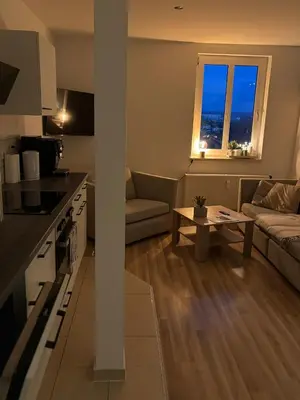 Küche/Küchenzeile in der Unterkunft Boardinghouse Plauen im Zentrum der Stadt