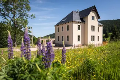Naturlandschaft in der Nähe der Ferienwohnung