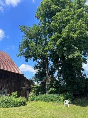Ein Garten an der Unterkunft Modernes Bauernhaus - 3 Schlafzimmer, Kamin, Wohnzimmer, Küche, Bad