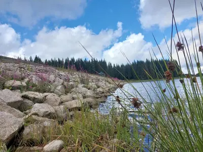 Naturlandschaft in der Nähe des Gasthauses