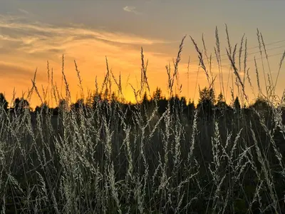 Blick auf den Sonnenuntergang/Sonnenaufgang von der Ferienwohnung aus oder aus der Nähe