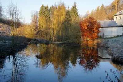 Naturlandschaft in der Nähe der Ferienwohnung