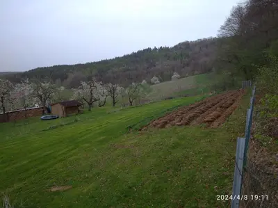Naturlandschaft in der Nähe der Ferienwohnung
