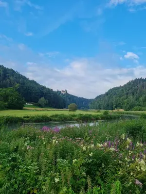 Naturlandschaft in der Nähe des Hotels