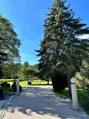 Ein Garten an der Unterkunft Suite 3