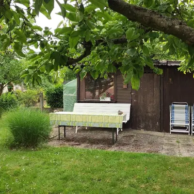 Ein Garten an der Unterkunft Haus Nickert