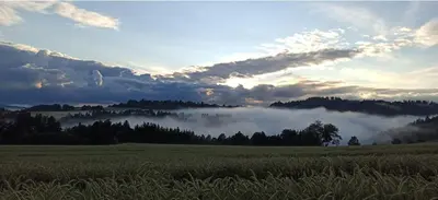 Naturlandschaft in der Nähe der Ferienwohnung