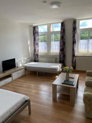 TV/Unterhaltungsangebot in der Unterkunft Ferienwohnung Goldener Drache