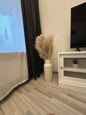 TV/Unterhaltungsangebot in der Unterkunft Gemütliche Unterkunft Bad Steben - Ferienhaus Maria