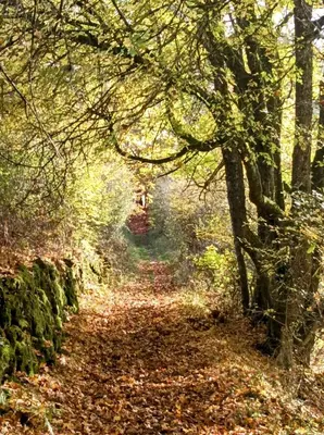 Naturlandschaft in der Nähe der Ferienwohnung
