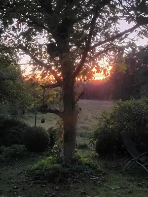 Naturlandschaft in der Nähe des Privatzimmers