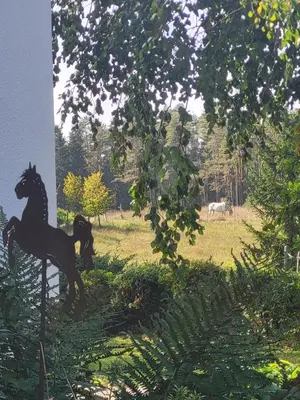 Ein Garten an der Unterkunft Naturoase