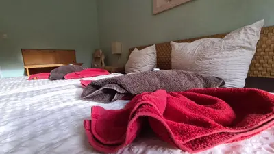 Ein Bett oder Betten in einem Zimmer der Unterkunft Ferienwohnungen Am Bühlwald