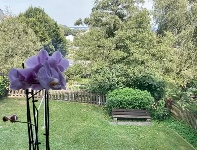 Ein Garten an der Unterkunft FerienWohnenSieglinde
