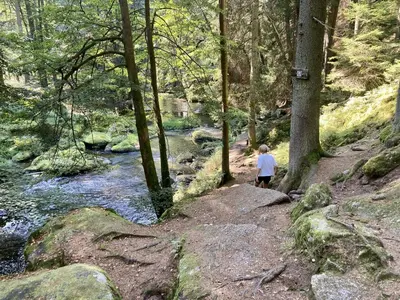 Naturlandschaft in der Nähe der Ferienwohnung