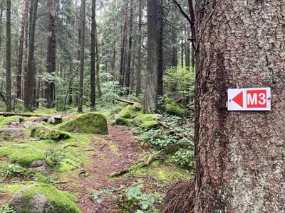 Naturlandschaft in der Nähe der Ferienwohnung