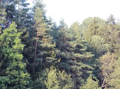 Naturlandschaft in der Nähe der Ferienwohnung